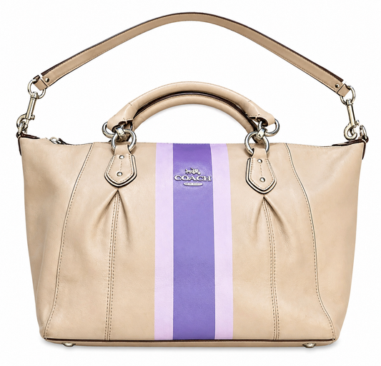 Coach Gray Leather Handbag with Purple & Lavender Hand-Painted Stripes