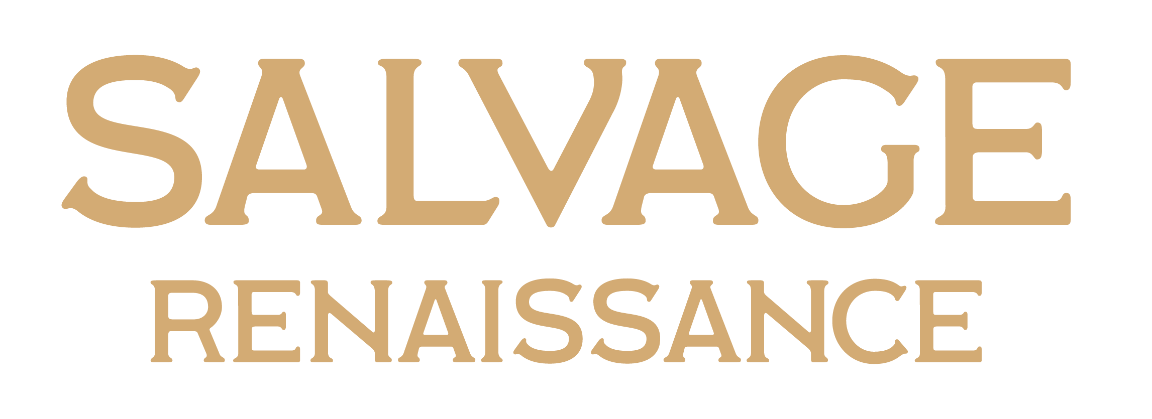 salvage-renaissance-horizontal-logo